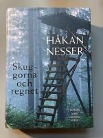 Skuggorna och regnet