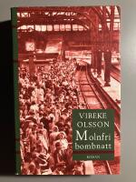 Molnfri bombnatt : [roman]