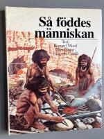 S&aring; f&ouml;ddes m&auml;nniskan