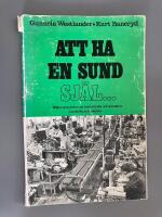 Att ha en sund sj&auml;l - N&aring;gra synpunkter p&aring; mental h&auml;lsa och alienation i samh&auml;lle och arbetsliv