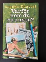 Varf&ouml;r kom du p&aring; &auml;ngen? - roman