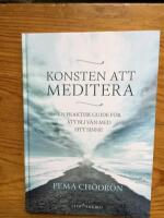 Konsten att meditera