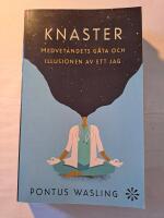 Knaster : medvetandets g&aring;ta och illusionen av ett jag