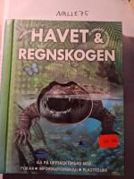 Havet och regnskogen