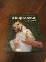Akupressur på hund
