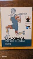 Maximal muskeltillv&auml;xt