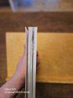 Hj&auml;rna i f&ouml;rskolan : v&auml;gen till barns l&auml;rande och utveckling