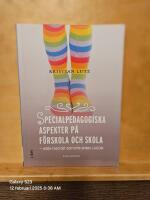 Specialpedagogiska aspekter p&aring; f&ouml;rskola och skola