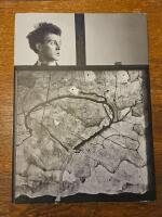 Egon Schiele, Jenny Saville