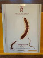 M&aring;ngfotingar. Myriapoda
