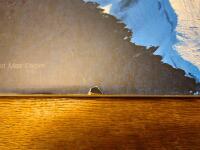 Dag Hammarskj&ouml;lds fj&auml;llv&auml;rld