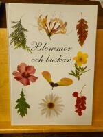 Blommor och buskar