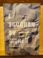 I skuggan av muren : Israel / Palestina