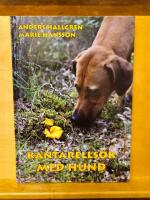 Kantarells&ouml;k med hund