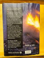 Eld - flammor och gl&ouml;d - samisk eldkonst
