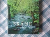 Sk&aring;ne