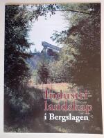 Industrilandskap i Bergslagen