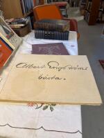 Albert Engstr&ouml;ms b&auml;sta 40 planscher 