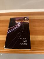 I v&auml;g, p&aring; plats : noveller, episoder