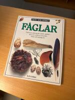 F&aring;glar : [f&aring;glarnas sp&auml;nnande v&auml;rld i n&auml;rbild, deras utveckling, beteende, milj&ouml; och hemliga liv]