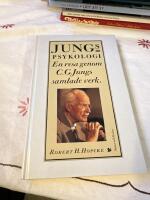 Hopcke/Jungs psykologi