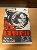 De stora &ouml;gonblicken