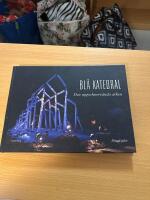 Bl&aring; katedral : den uppochnerv&auml;nda arken