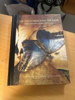 Ur regnskogens skugga : Daniel Rolander och resan till Surinam