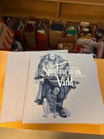 Spegling av en v&auml;rld : ett perspektiv p&aring; Wagners Ring