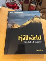Fj&auml;llv&auml;rld : tidl&ouml;shet och trygghet