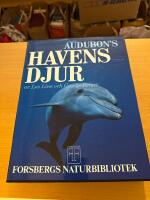 Audubon's havens djur
