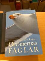 Oceanernas f&aring;glar