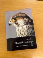 Pilgrimsfalken i Sverige