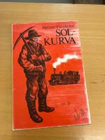 Solkurva : en roman om m&auml;nniskors f&ouml;rs&ouml;k att n&aring; varandra