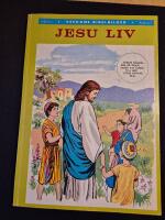  Veckans Bibelbilder: Jesu liv Årgång 1