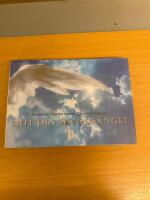 M&ouml;t din skydds&auml;ngel