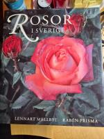 Rosor i Sverige