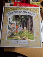 Den stora stormen