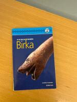 Vikingastaden Birka