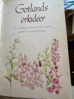 Gotlands orkide&eacute;r