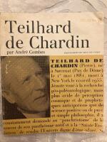 Teilhard de Chardin et la sainte &eacute;volution.
