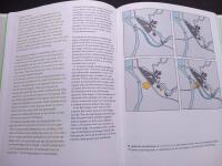 Strong Stories: how the Dutch are reinventing spatial planning