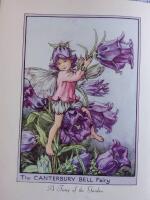 Flower Fairy Picture Book