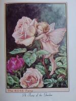 Flower Fairy Picture Book