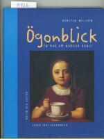 &Ouml;gonblick : En bok om nordisk konst