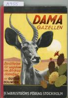 Dama Gazellen