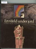 En v&auml;rld under jord : f&auml;rg och form i tunnelbanan