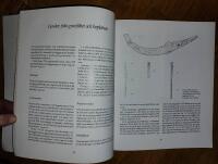 Sk&auml;lv : en g&aring;rd och ett g&aring;rdsgravf&auml;lt fr&aring;n &auml;ldre j&auml;rn&aring;lder