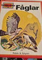 B&ouml;rja veta 4: F&aring;glar