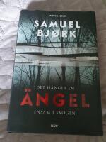 Det h&auml;nger en &auml;ngel ensam i skogen